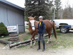 Carol Barnewolt's new Quarter Horse mare, Sequins Do Sparkle!