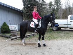 Sue Adams-Conley's young Morgan mare, Gracie Blue!