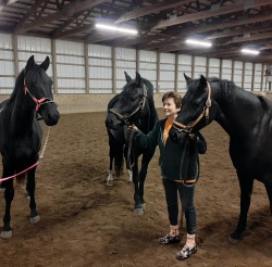 Sue Adams-Conley with her three Morgan mares: Astrid, Gracie Blue, and Eiryn!