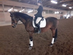 Hanna Whalley showing our Fairfield schoolmaster, Miss Chaos, at our Spring show 2022.