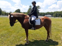 Fairfield student, Joyce Caranci now owns Sugar, a draft cross mare & she has a new show name Citrona!