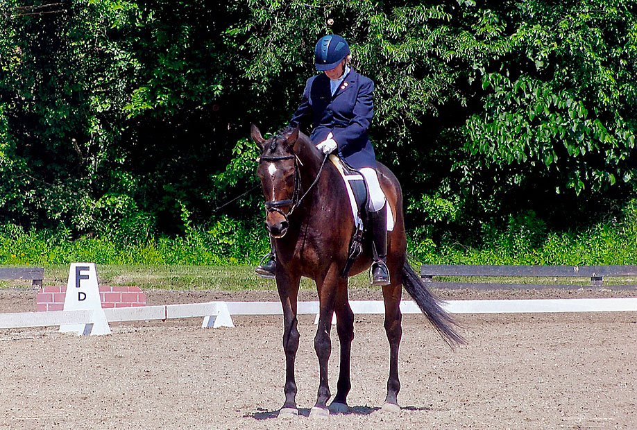 Our Staff Dressage Training & Horse Boarding Fairfield Farm in