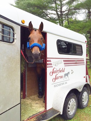 Bella on her way to a show!