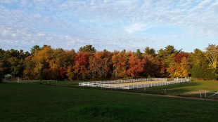 Outdoor Arena