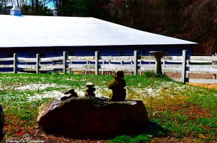 View of the barn from the driveway!