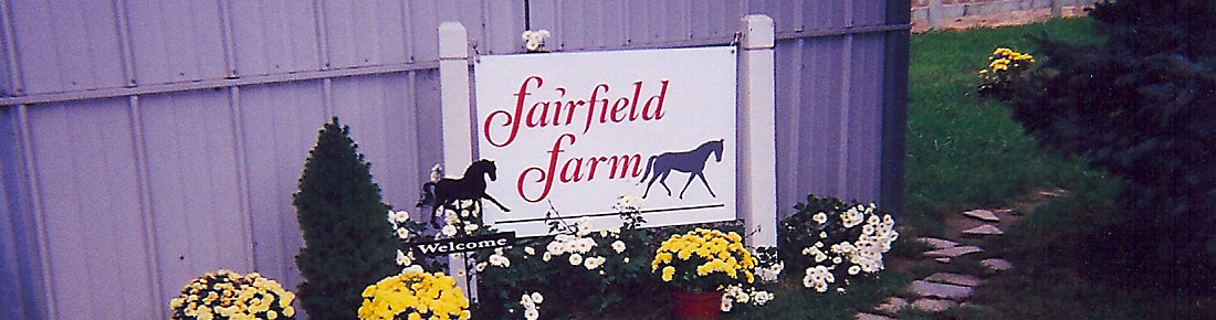 Dressage at Fairfield Farm