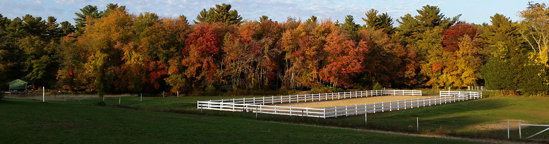 Outdoor Arena